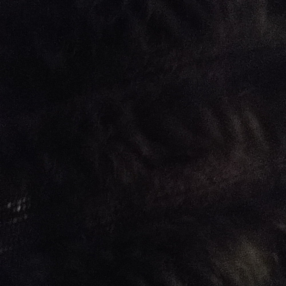 Beautiful Ladies Goose fur Vest